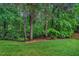 View of treelined backyard with lush green grass and a wood-lined fence, providing privacy at 203 Witheridge Ct, Apex, NC 27502