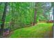 Sprawling backyard with a stream running through a lush landscape with mature trees and wooded area at 203 Witheridge Ct, Apex, NC 27502