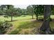 Lush backyard with mature trees and manicured landscaping extending to the golf course at 204 Muirfield Ln, Clayton, NC 27527