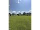 Large, well-maintained grassy backyard, perfect for a variety of outdoor activities at 333 Park Ave, Rocky Mount, NC 27801