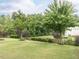 Lush green backyard with well-maintained lawn and mature trees, offering privacy with a black metal fence surround at 437 Henmore Brook Dr Dr, Cary, NC 27519