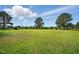 Expansive lot featuring lush grass, mature trees, and a clear blue sky overhead at 4600 Smithfield Rd, Wendell, NC 27591