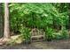 Secluded backyard nook featuring a wooden bench surrounded by ferns at 671 Bear Tree Crk, Chapel Hill, NC 27517