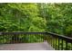 A view from the backyard deck reveals a lush green forest at 7816 Harbor Dr, Raleigh, NC 27615