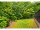 Secluded backyard surrounded by mature trees and lush greenery, with a manicured lawn at 7816 Harbor Dr, Raleigh, NC 27615