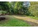 Large, private backyard features mature trees, a wooded boundary, and plenty of shade at 8816 Valley Springs Pl, Raleigh, NC 27615