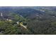 Expansive aerial view of lush forests and greenery, showcasing community's natural beauty at 973 Rebecca Ln, Siler City, NC 27344
