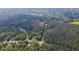 Expansive aerial view of lush forests and greenery, showcasing community's natural beauty at 973 Rebecca Ln, Siler City, NC 27344