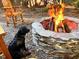 Fire pit with burning logs surrounded by adirondack chairs with a dog nearby at 1004 Staffield Lane Ln, Chapel Hill, NC 27516