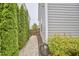 Gravel pathway lined with lush greenery, offers a private walkway to a gated backyard at 112 Filigree Way, Durham, NC 27713