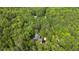 Aerial shot of a home surrounded by lush trees, showcasing the verdant landscape at 13121 Melvin Arnold Rd, Raleigh, NC 27613