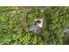 Aerial view of the home nestled in a lush, green forest, offering privacy at 13121 Melvin Arnold Rd, Raleigh, NC 27613