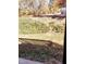 A natural backyard featuring healthy ground cover, trees, and leaves on a sunny day at 1633 Snow Mass Way, Durham, NC 27713