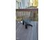 Wooden deck featuring an outdoor chair with views of a yard and surrounding trees at 1633 Snow Mass Way, Durham, NC 27713
