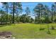 Lush green backyard, with mature trees providing ample shade, ideal for outdoor activities and relaxation at 169 Clearwater Harbor Hbr, Sanford, NC 27332