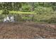 Scenic view of a pond with geese, surrounded by trees and natural vegetation at 4504 Ryegate Dr, Raleigh, NC 27604