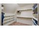 Walk-in closet with shelving, carpet floor and hanging clothes at 603 Hawks Ridge Ct, Apex, NC 27539