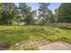 Expansive backyard with lush greenery, partially fenced with mature trees, and plenty of open space at 7024 Beaverwood Dr, Raleigh, NC 27616