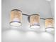 Elegant bathroom light fixture with woven shades at 81 Paperwhite Pl # 213, Clayton, NC 27527