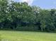 A vast, green backyard surrounded by lush, dense trees provides privacy and a natural backdrop at 87 Browning Mill Dr, Wendell, NC 27591
