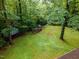Lush backyard bordered by dense trees, creating a private, nature-filled retreat at 8812 Valley Hill Ct, Apex, NC 27539