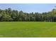 Lush green community space perfect for outdoor activities at 102 Newell St, Chapel Hill, NC 27516