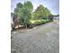 Extended gravel driveway with lush greenery at 1360 Honeycutt Rd, Willow Springs, NC 27592