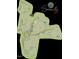 Serenity community map shows trails, lakes, green spaces, streets and surrounding areas at 33 Cozy Hvn, Fuquay Varina, NC 27526
