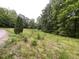 Picturesque grassy lot with plenty of green trees in a wooded area at 4628 Rogers Rd, Wake Forest, NC 27587