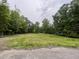 Grassy lot surrounded by many green trees under a cloudy sky at 4628 Rogers Rd, Wake Forest, NC 27587