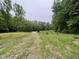 Scenery of a grassy lot surrounded by many green trees at 4628 Rogers Rd, Wake Forest, NC 27587