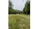 Scenic vacant lot with lush greenery and the potential for creating your dream home at 4628 Rogers Rd, Wake Forest, NC 27587