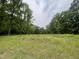 Spacious grassy lot surrounded by lush trees and foliage under a cloudy sky at 4628 Rogers Rd, Wake Forest, NC 27587