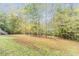 Large backyard featuring mature trees and a well-maintained lawn at 6824 Branton Dr, Cary, NC 27519