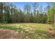 Picturesque backyard with lush trees and a grassy area at 120 Rocking Horse Ln, Sanford, NC 27332