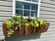 Charming window box overflowing with colorful flowers, enhancing the curb appeal of the home at 123 Claystone Dr, Gibsonville, NC 27249