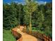 Wooded path for residents of Briar Chapel community with green trees at 241 Serenity Hill Circle Cir, Chapel Hill, NC 27516