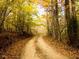 Leaf covered wooded trail showing natural landscape in the Briar Chapel Community at 241 Serenity Hill Circle Cir, Chapel Hill, NC 27516