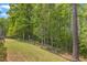 Landscaped backyard features an expansive lawn and trees along the back at 2634 Yellow Pine Rd, Raleigh, NC 27616