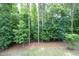 Tree-filled backyard with pine straw, a fenced yard, and mature trees at 309 Hines Point Dr, Rolesville, NC 27571