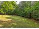 Large backyard with a well-maintained lawn, mature trees, and natural surroundings, creating a serene outdoor space at 504 Belmont Cir, Wake Forest, NC 27587