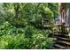 Backyard with a wooden deck and steps surrounded by lush greenery, creating a private retreat at 517 N East St, Raleigh, NC 27604