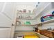 Well-organized walk-in pantry with lots of shelving for storage at 2918 Heirloom Way, Apex, NC 27502