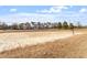 Community sand volleyball court ready for fun and games, with neighborhood homes in the background at 405 Commons Walk Cir, Cary, NC 27519