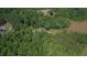 Aerial view of lush wooded acreage with home and a partial view of the lake offers both privacy and nature at 7483 Danford Rd, Burlington, NC 27215