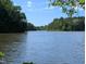 Scenic view of the lake surrounded by lush greenery at 7483 Danford Rd, Burlington, NC 27215