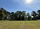 Large grassy backyard with mature trees and blue skies, perfect for outdoor activities at 111 Mahogany Way, Four Oaks, NC 27524