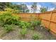 A portion of the backyard featuring lush green trees and professional landscaping at 182 Brendamoore Ct, Fuquay Varina, NC 27526