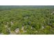 Expansive aerial view of a lush neighborhood with tree-lined streets and stunning homes nestled among mature trees at 203 N Becket St, Cary, NC 27513