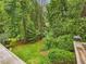 Secluded backyard with mature trees, lush greenery, and a view of nature from the home's elevated wooden deck at 3347 Ridgecrest Ct, Raleigh, NC 27607